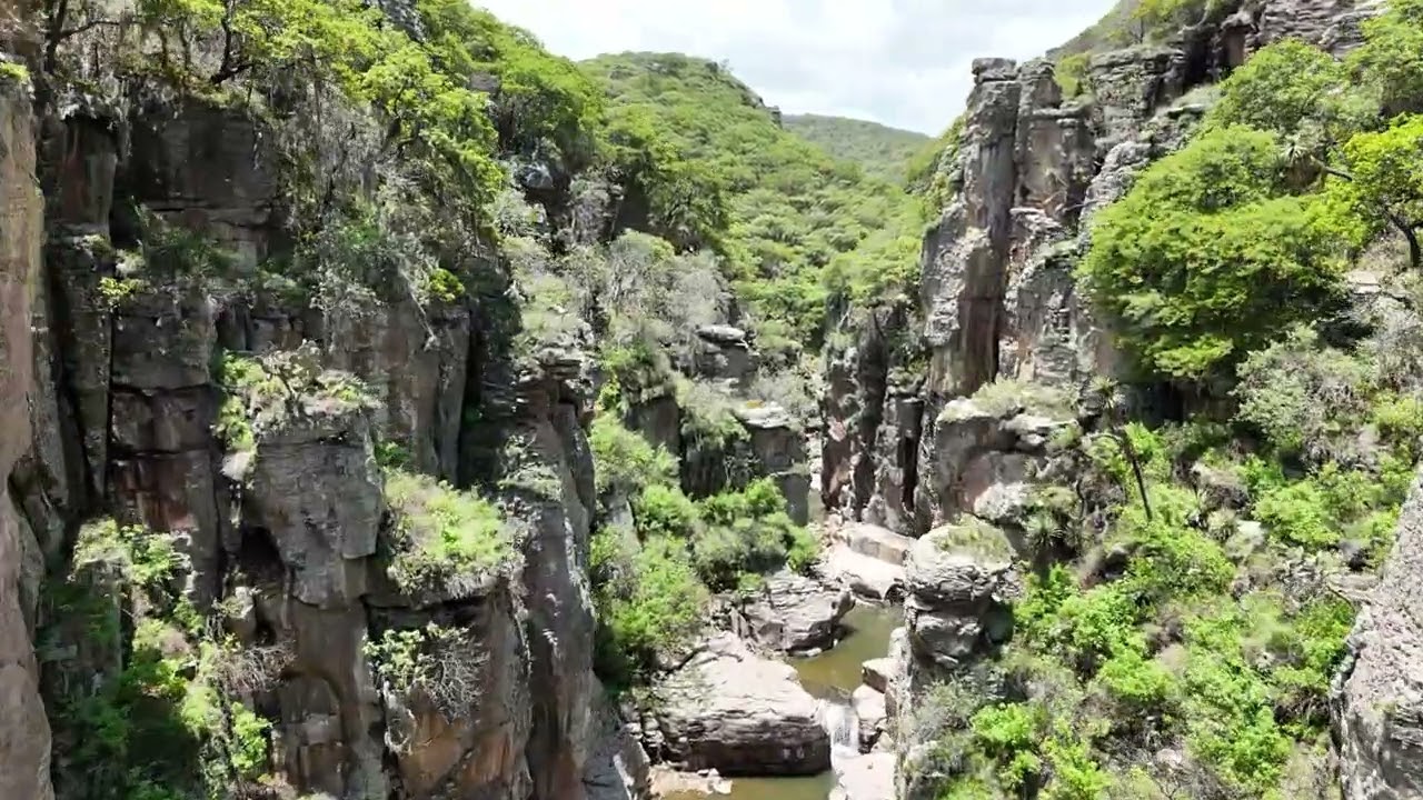 Los Panales, Sierra de Lobos, San Felipe, Guanajuato. México. En temporada de lluvias.