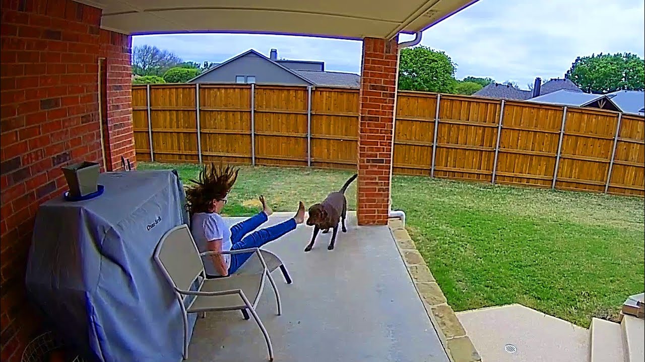 That Escalated Quickly! 🙅 Funniest Security Camera Fails