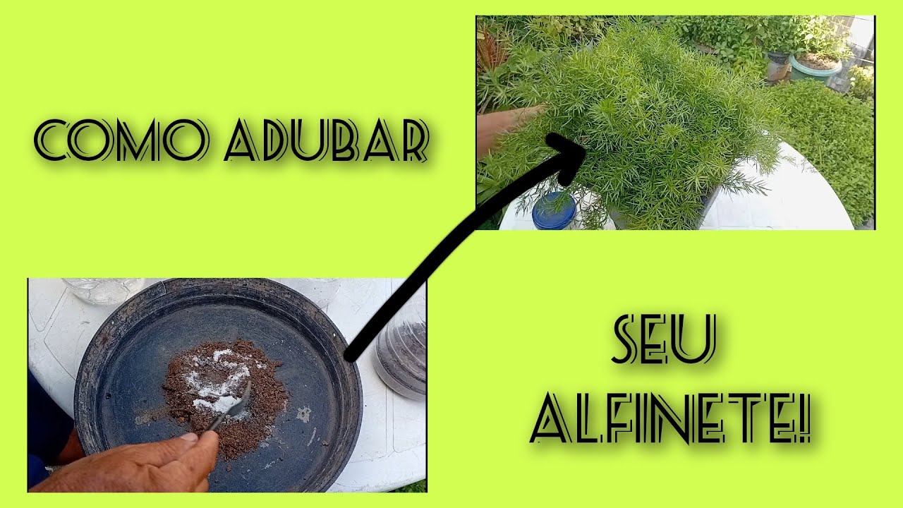COMO ADUBAR ALFINETE FÁCIL E RÁPIDO!