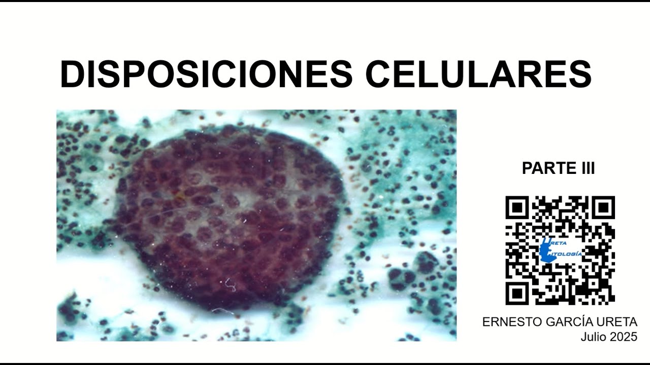 Disposiciones celulares Parte III