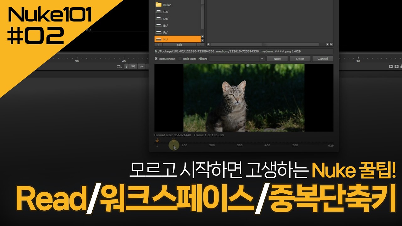Nuke101/02 - Wirte노드 / 인터페이스 커스텀 / 중복단축키