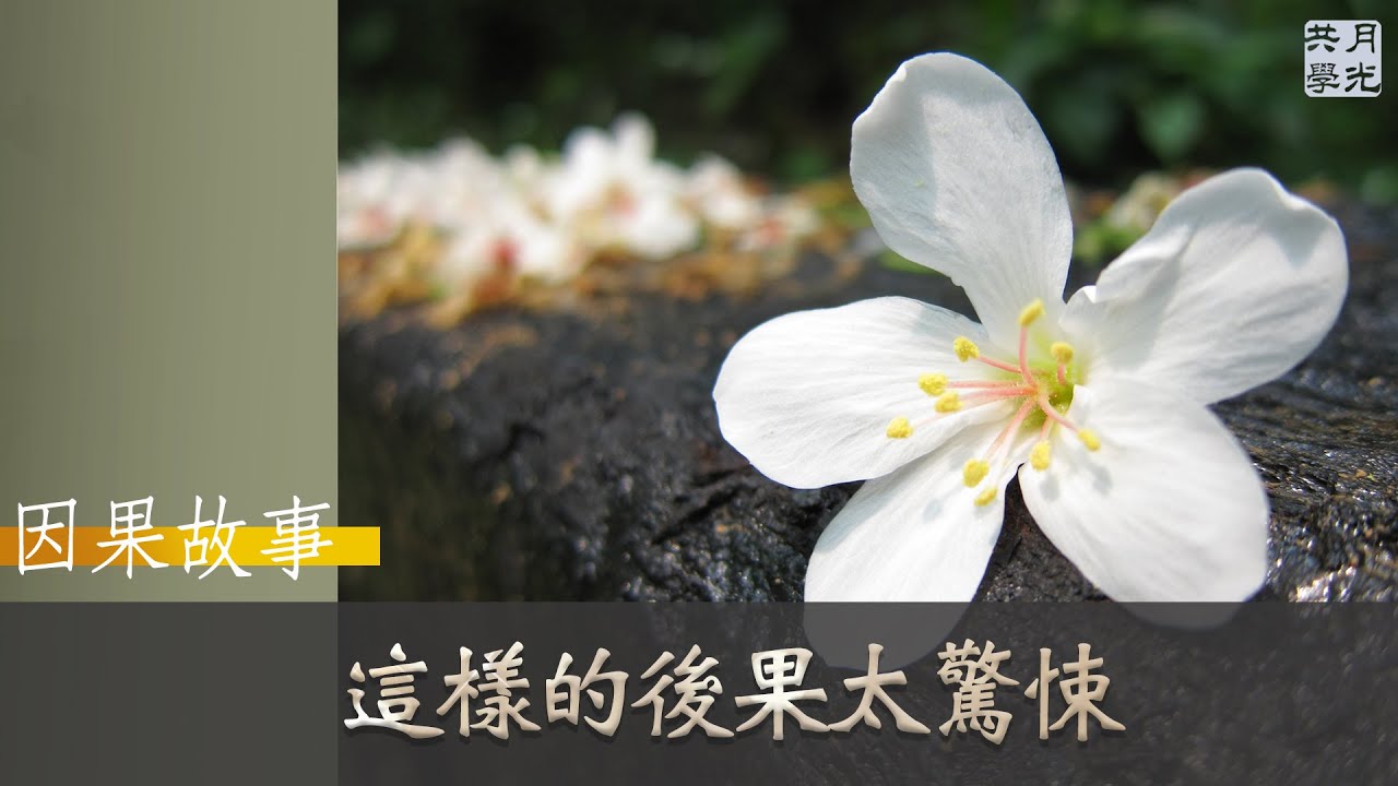 【因果故事】只是占用別人東西沒關係吧？這樣的後果太驚悚．福智 如俊法師導讀
