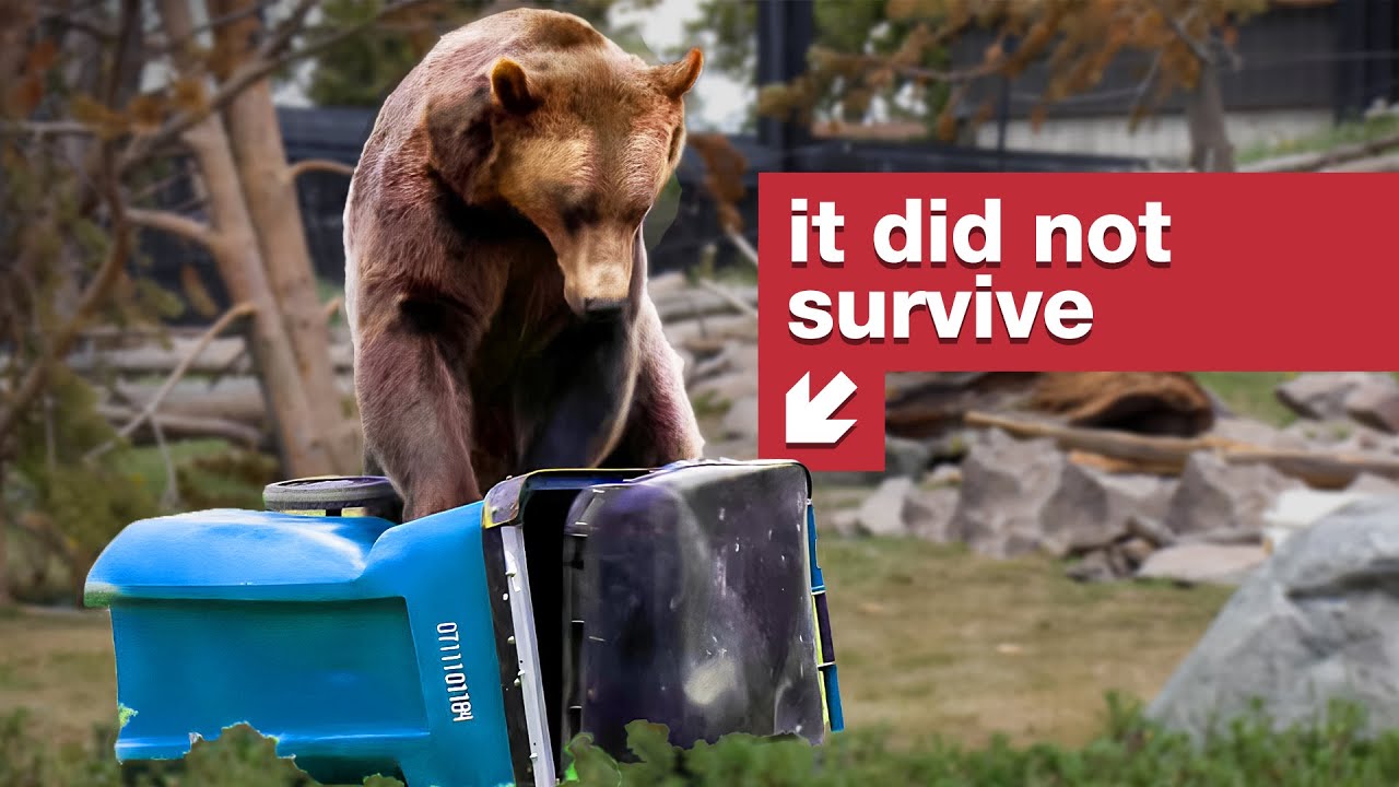 If this survives for an hour, it passes the Bear Test.