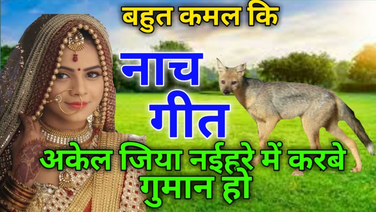 कमाल की नाच गीत 😄अकेल जिया  नई हरे में करवे गुमान😀 हो
