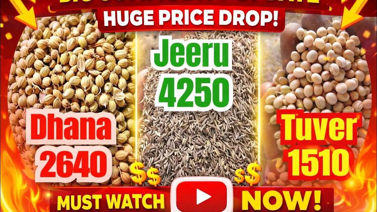 3 દિવસ ની રજા છે | જાણી લો આજેજ આ બજારભાવ ||💹✅