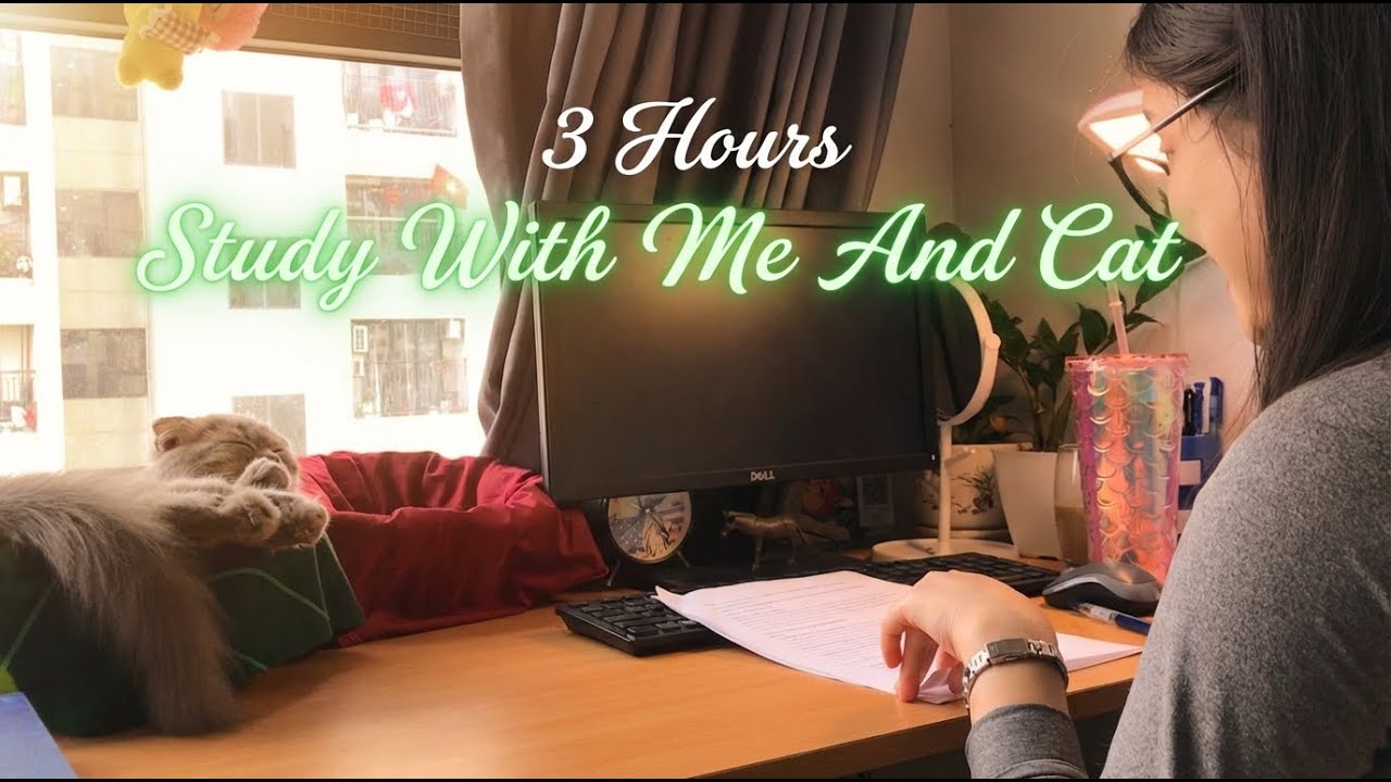 [3-HOUR STUDY WITH ME/DAY 5]  3-GIỜ HỌC CÙNG MÌNH/NGÀY 5/ calm piano/ HaNoi/ lofi music