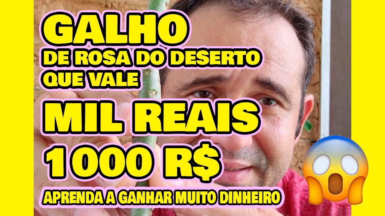 ROSA DO DESERTO E UM GALHO QUE VALE MIL REAIS - APRENDA A GANHAR MUITO DINHEIRO COM ENXERTOS 💲💲💲