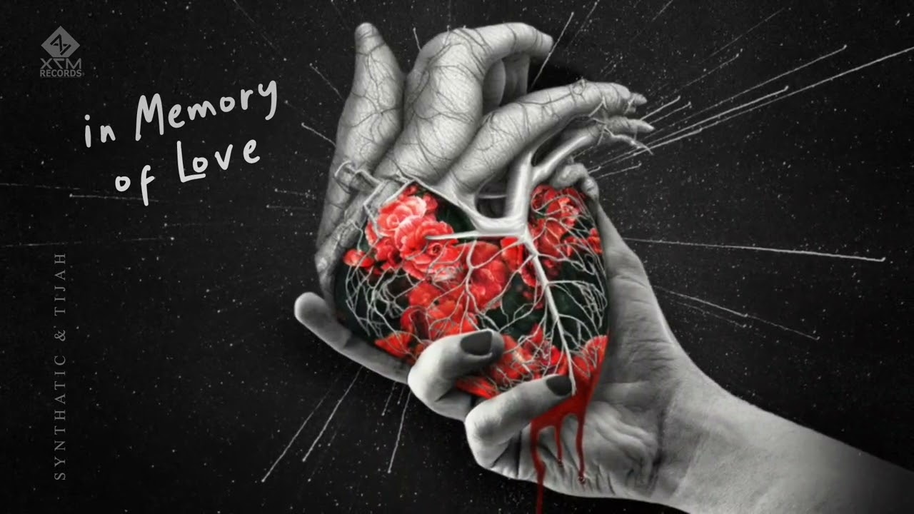 Synthatic & Tijah - In Memory of Love