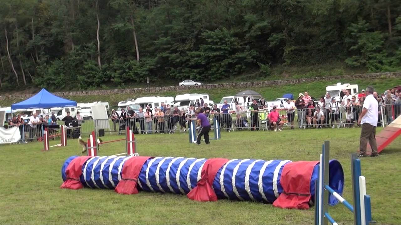 Concours Agility France 2014
