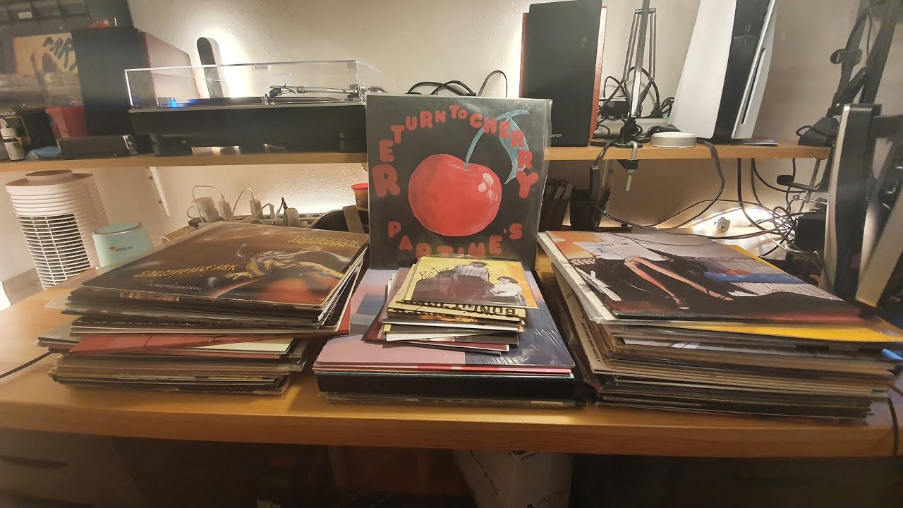 PET's 2021 Vinyl Records