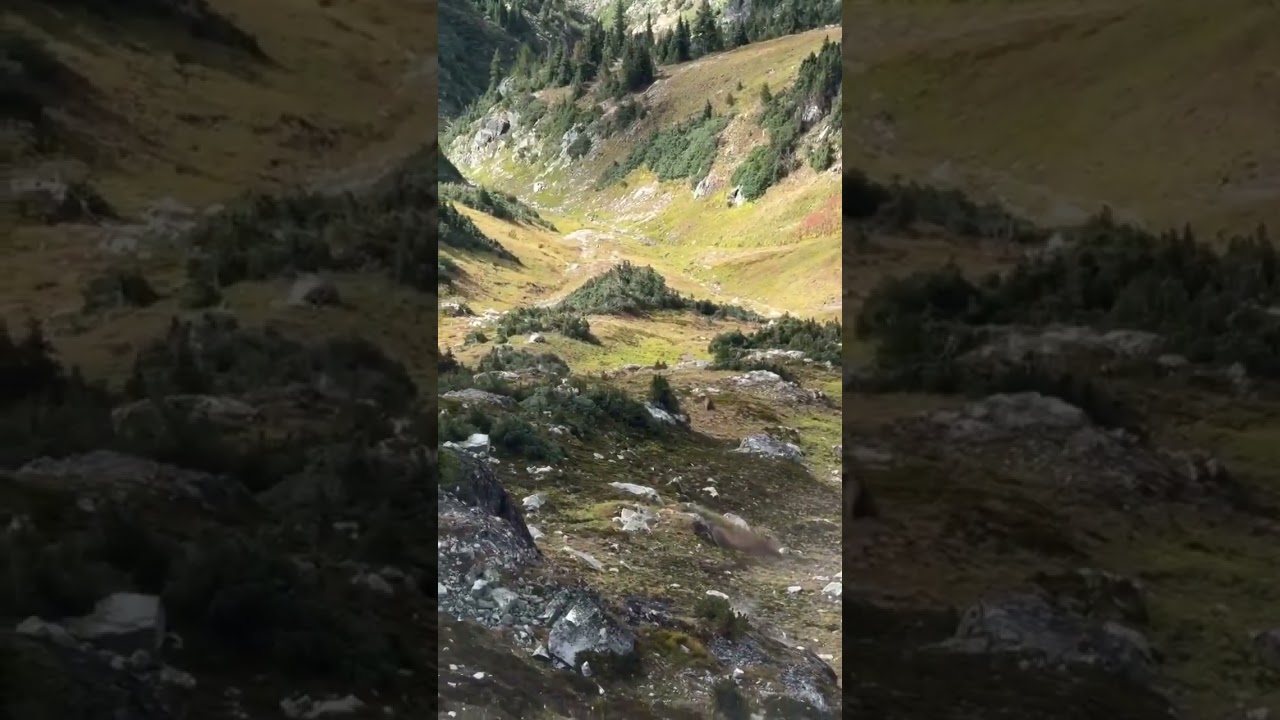 Large boulder reaches incredible speed after being pushed off the cliff