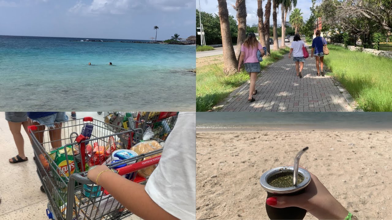 primer dia de convivencia (supervivencia)