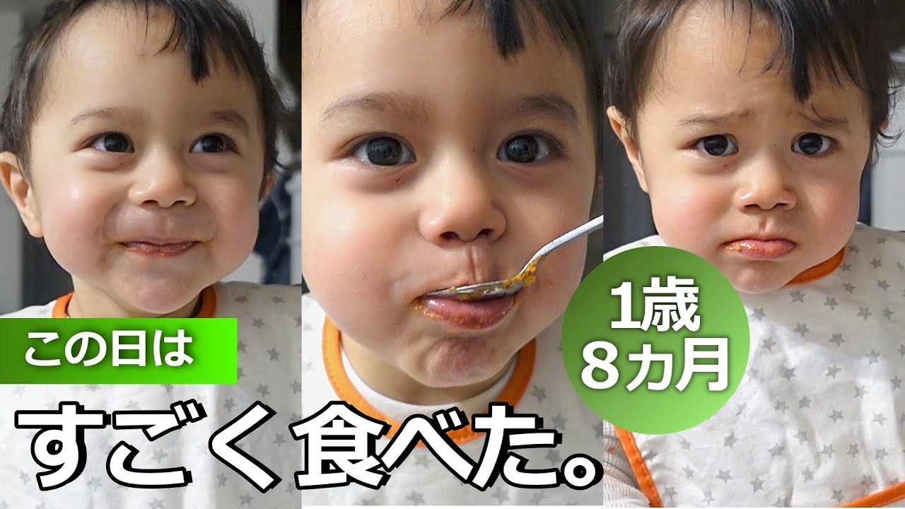 【１歳８ヵ月】本日よく食べる食事風景｜いつもおねえちゃんはうるさいな｜Our Baby Boy Eatsthe Cupboards Bare