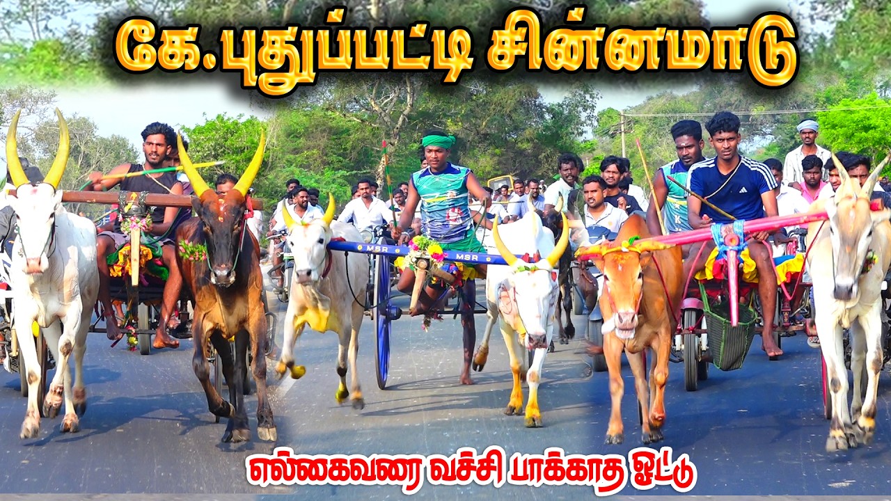 கே. புதுபட்டி சின்னமாடு பந்தயம் 25.02.2026