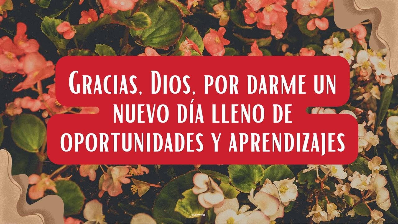 ✨Estas FRASES alimentarán tu alma✨❤️ | #calmvibes