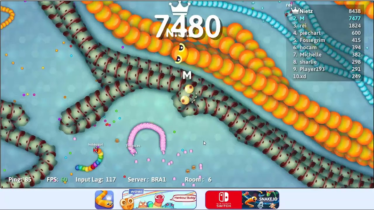 I reached 35773 scores in Snake.io 🐍