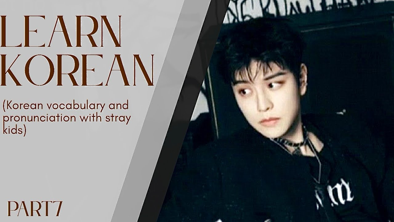 Stray Kids MANIAC Korean Lesson | Learn Korean with K-Pop – Part 7