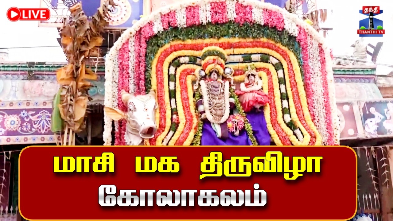 🔴LIVE :மாசி மக திருவிழா கோலாகலம்