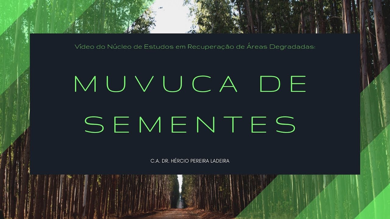 Muvuca de Sementes - NERAD - UFVJM