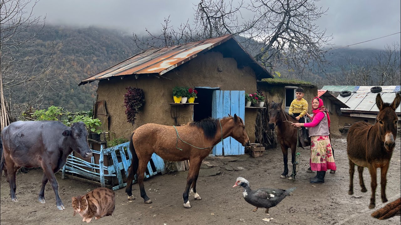 Caring for Animals in Cold Weather | Installing a Wood Stove & Cooking Rice Pudding