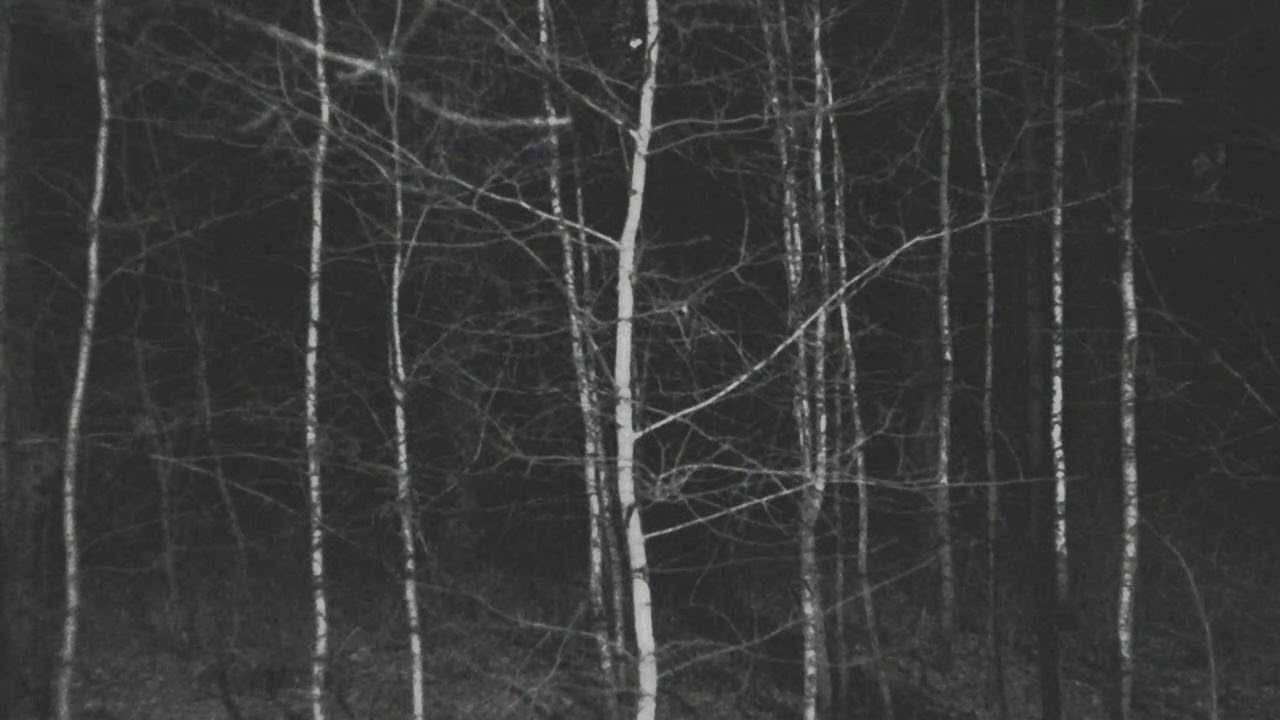 [FREE] spooky black x corbin type beat - 'control' (prod. homesick)