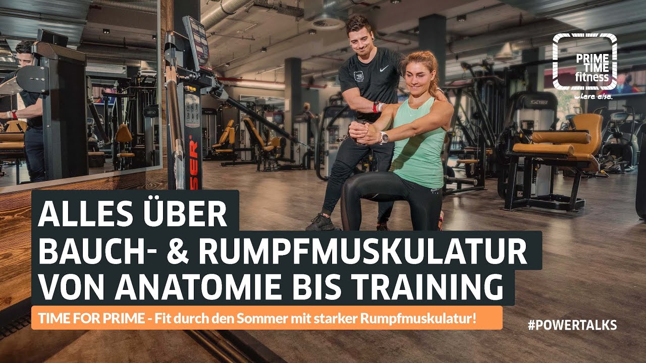 Alles über die Bauch- und Rumpfmuskulatur, von der Anatomie bis zum Training