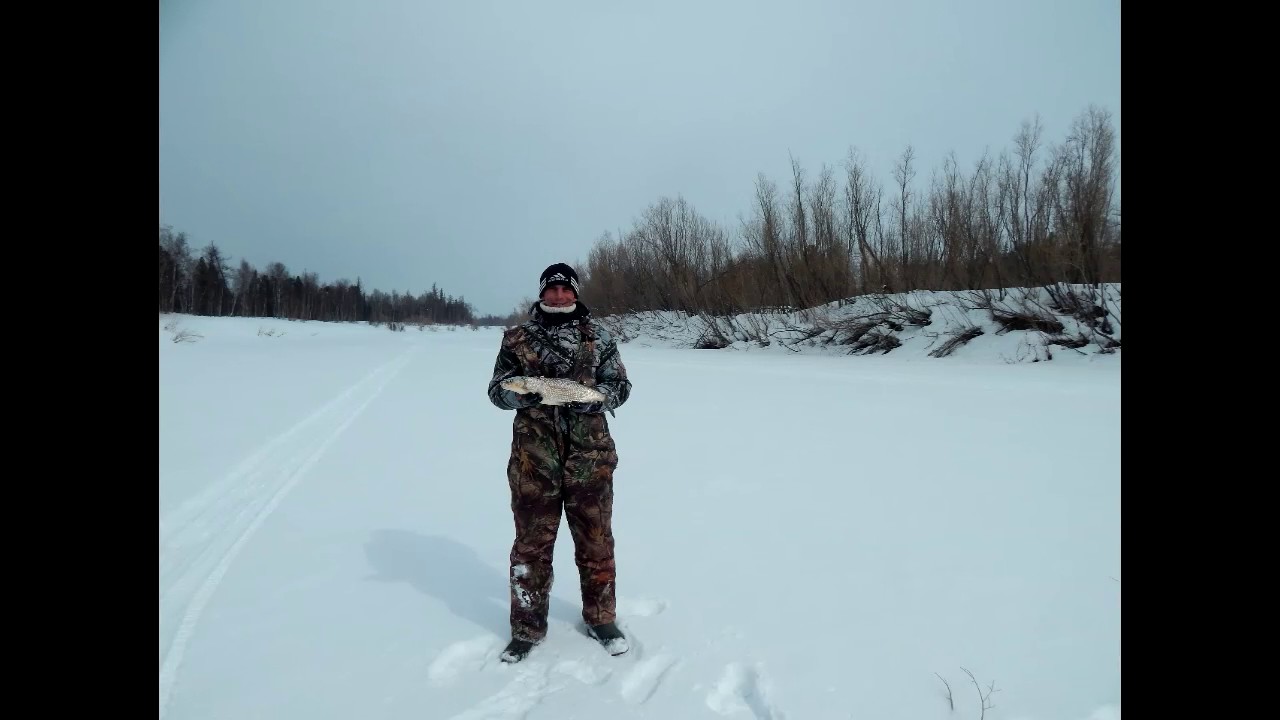 Хариус,классная Рыбалка.