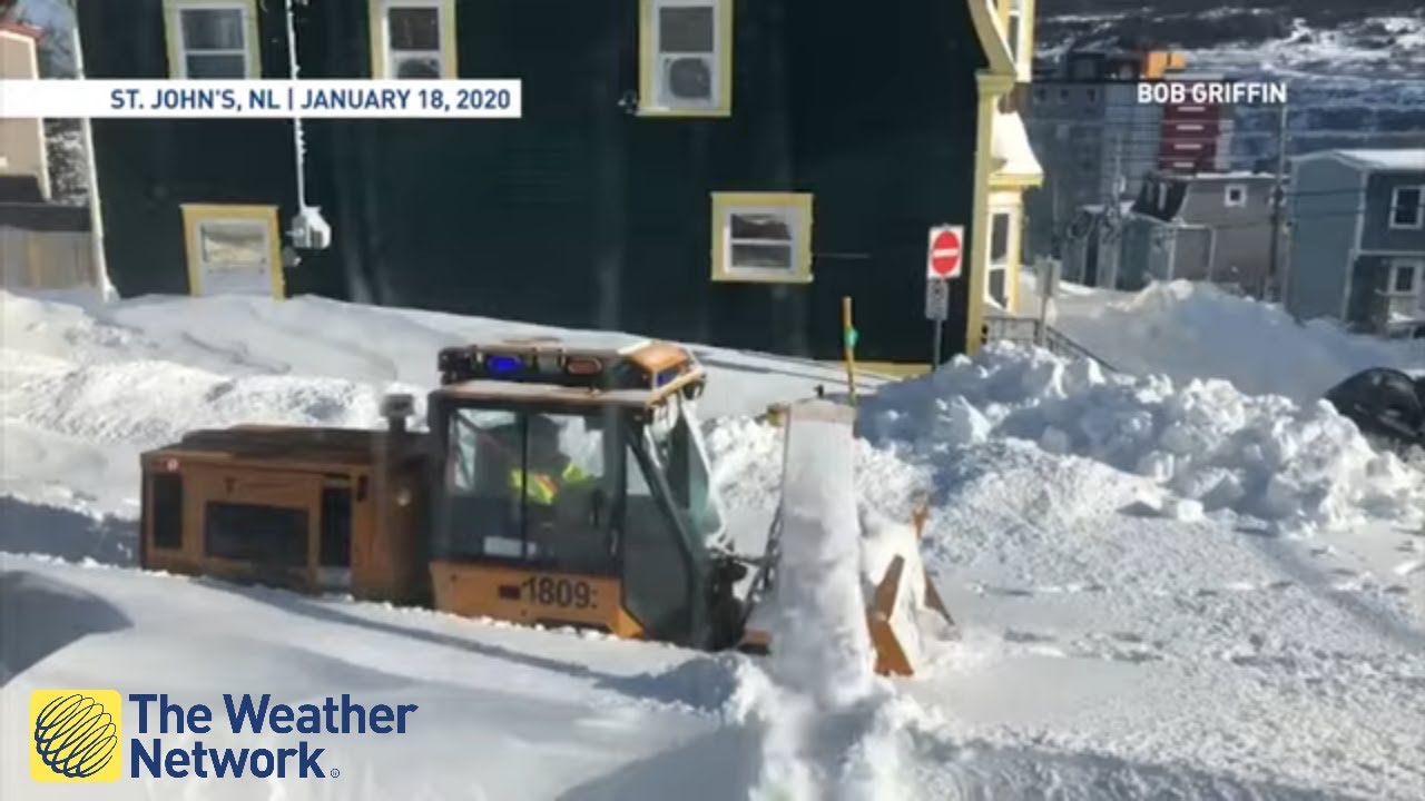 Even Newfoundlanders are amazed by the amount of snow