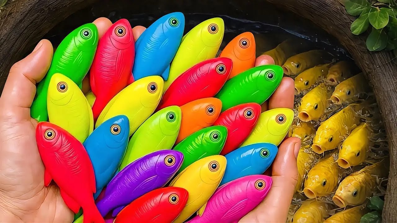 Catch Beautiful Aquarium Fish In Small Pond Baby Turtles, Koi, Guppy, Betta Fish, Pencil Fish, Platy