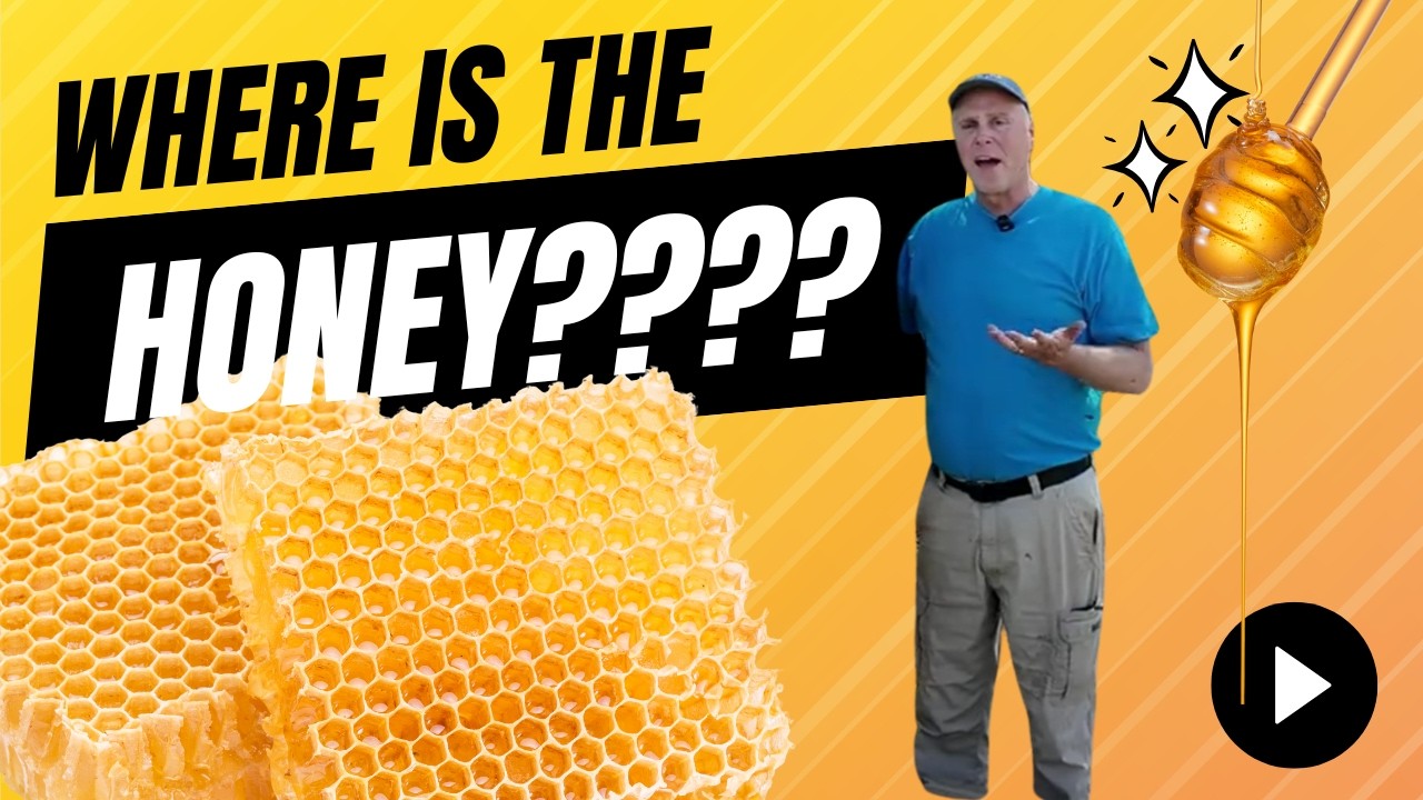 Struggling With Low Honey Production? Watch This!
