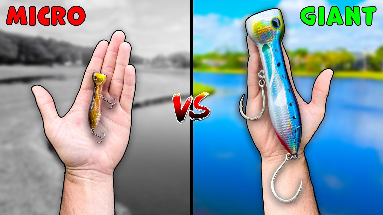 Micro Topwater vs Giant Topwater Fishing Challenge