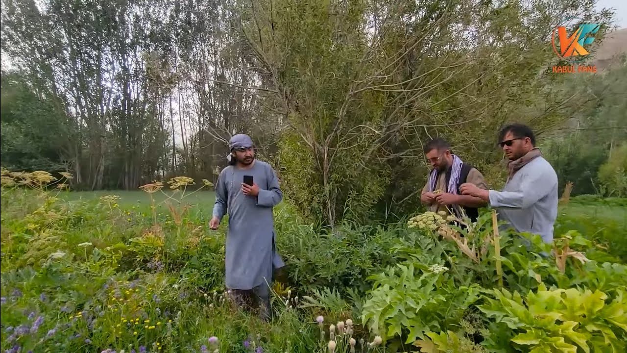 سفر به دره غوربند - سرخ پارسا و دره ترکمن - قسمت هفتم