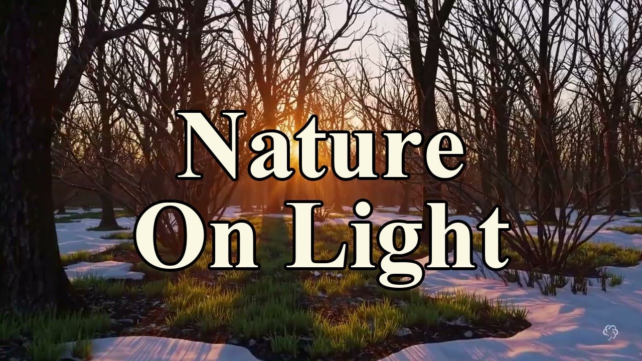 Winter Ambient - Golden Hour Forest - Relaxing - 10 Hours (Extended Mix)