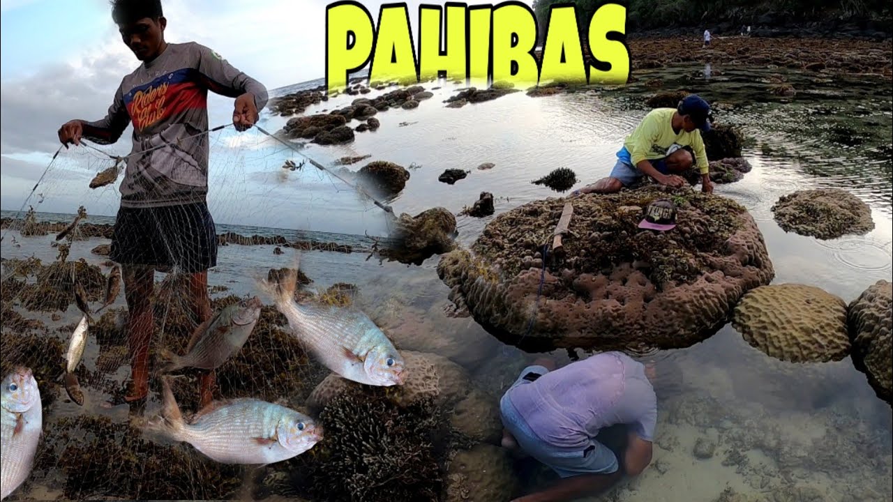 Pahibas ang daming Dangit at ilak.|Catch And Cook|