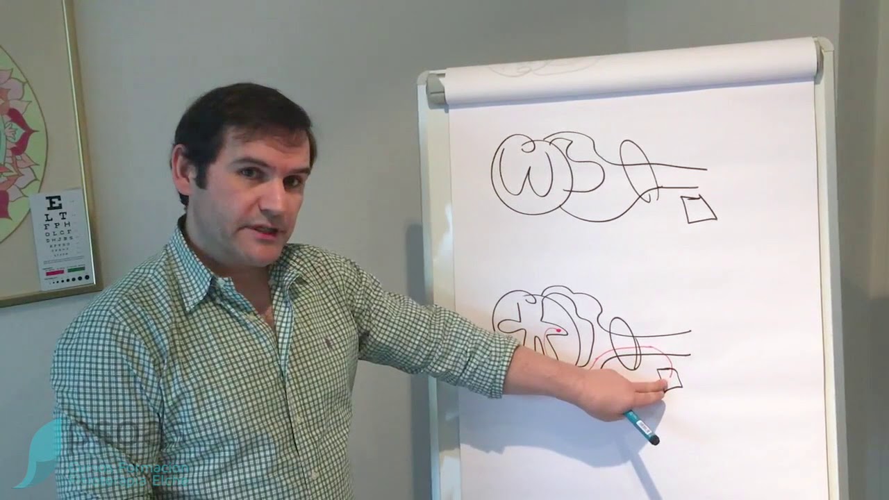 Explicaci&oacute;n dolor referido de origen visceral | Est&oacute;mago Hombro
