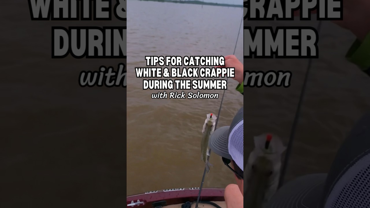 Tips for catching #whitecrappie & #blackcrappie during the summer. #crappienow #crappiefishing