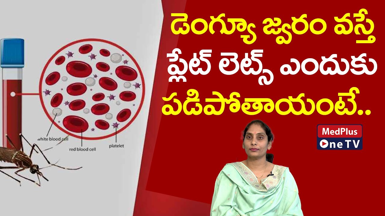 Why Do Platelets Decrease When You Have Dengue Fever? | Dr.Sravani Reddy Karumuru @MedPlusONETV