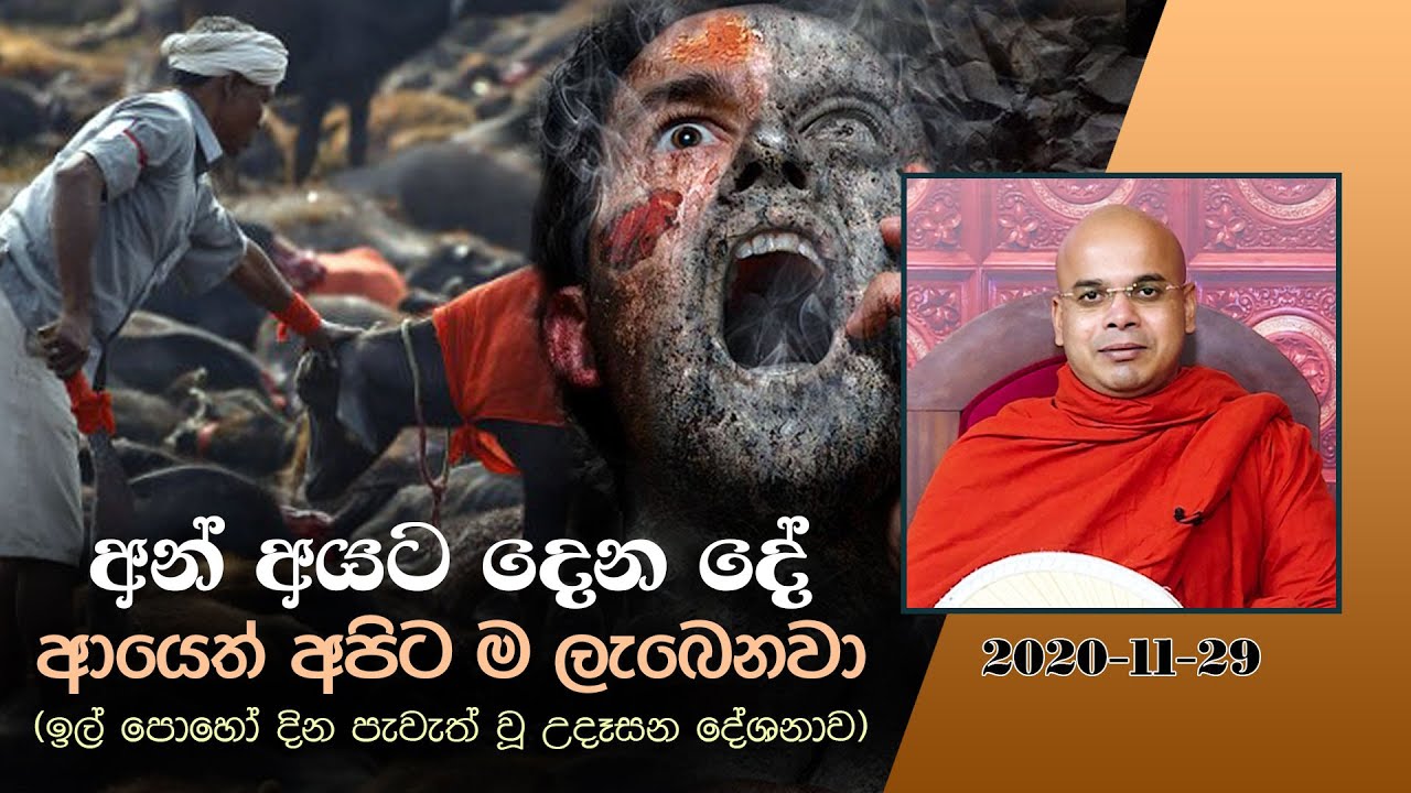 අන් අයට දෙන දේ ආයෙත් අපිට ම ලැබෙනවා (දුතිය සංගාම සූත්‍රය) | Ven Aludeniye Subodhi Thero