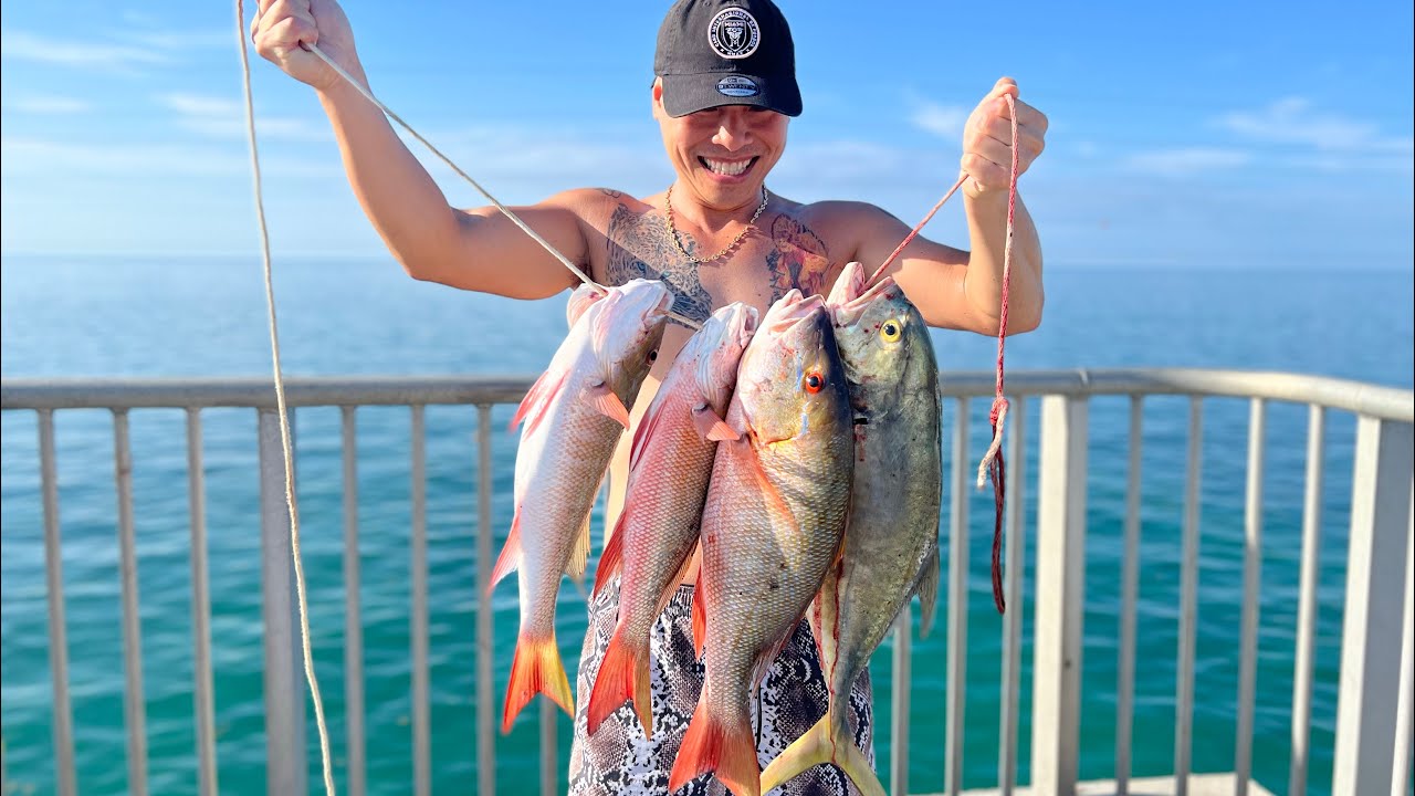 Cá MUTTON SNAPPER Ăn Sống Là Ngon Nhất Trên Đời | Long Keys Bridge | LuuLinh TV