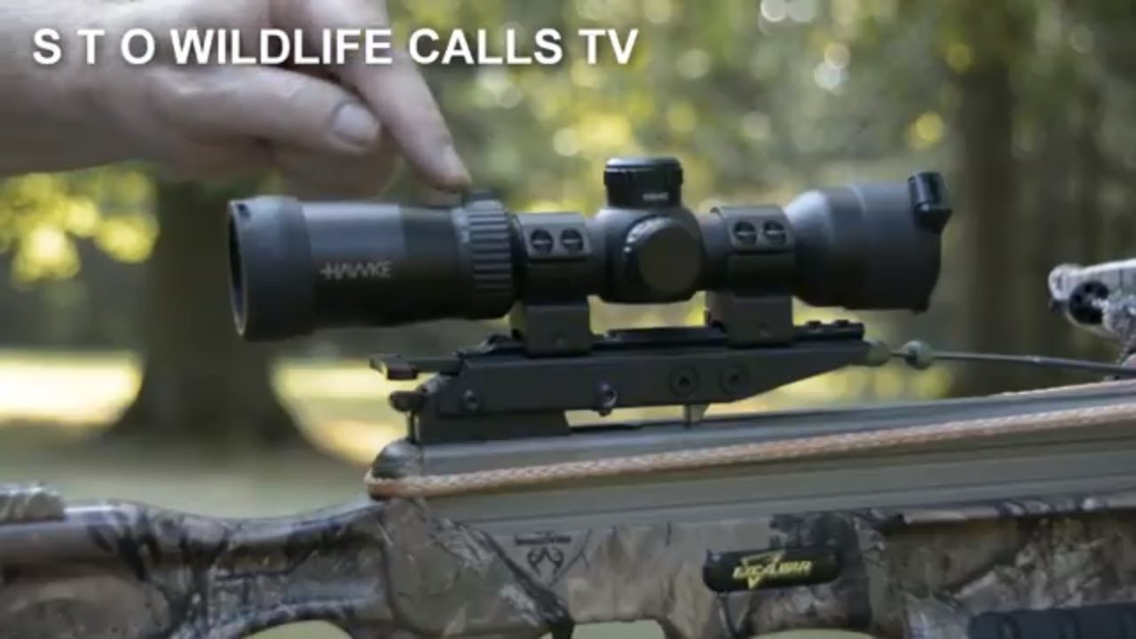 Improving Your Excalibur Crossbow