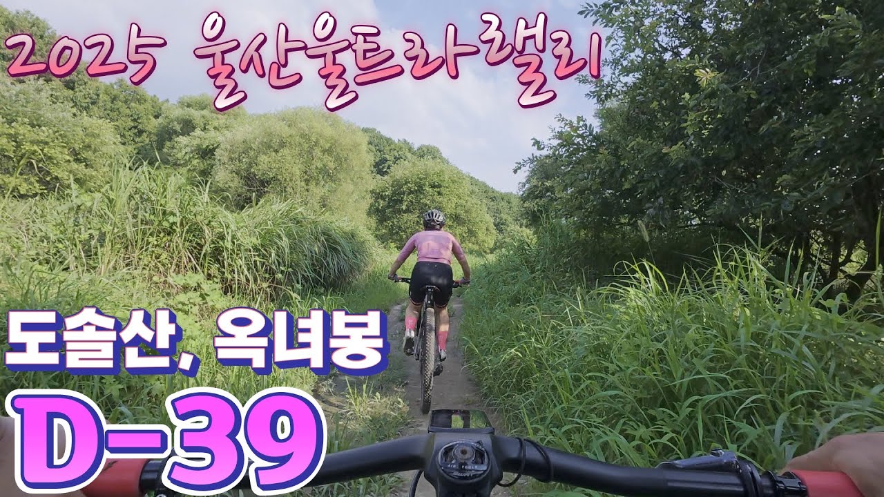 2025 울산울트라랠리 D- 39/ 대전시 도솔산 목원대 옥녀봉/ 2025. 7. 23.