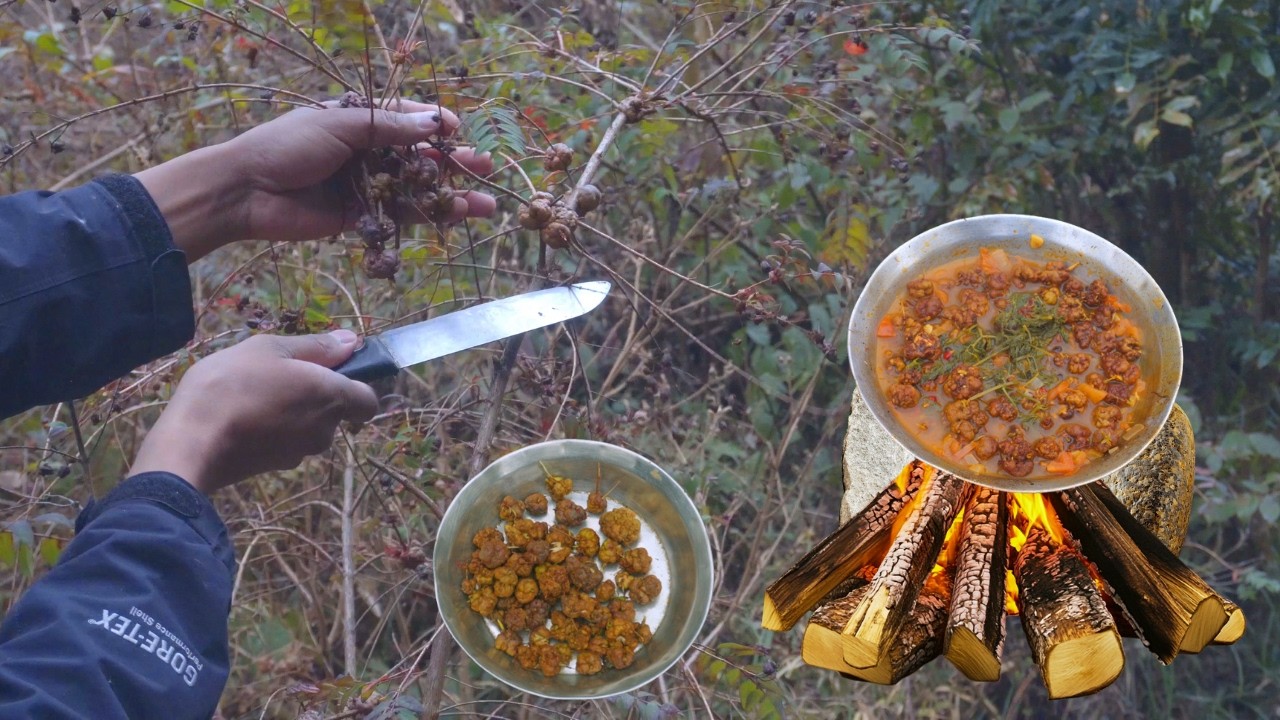 Harvesting Wild Fruits & Cooking |survival in the forest |live wild cook