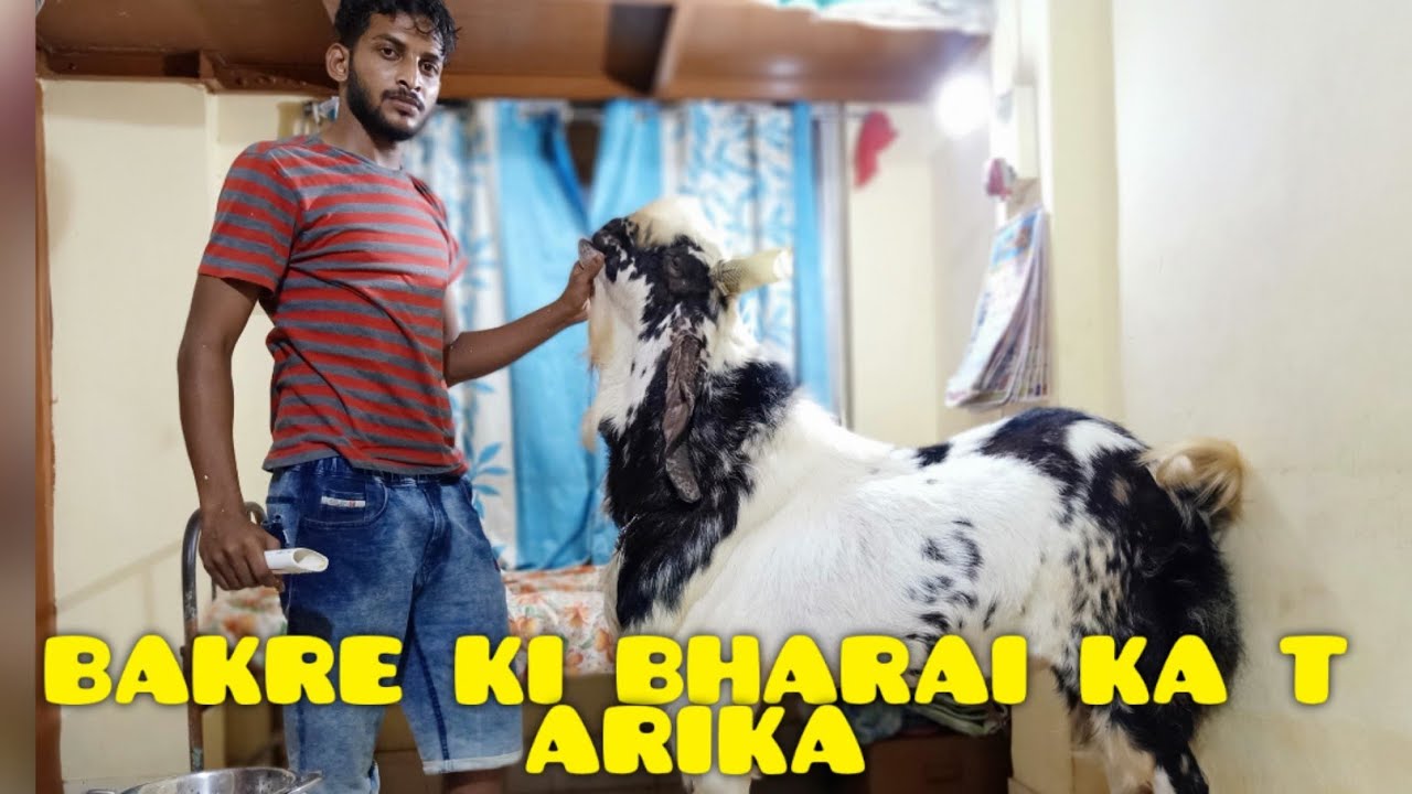 Bakre ki bharai ka tarika | FAIZU USTAD