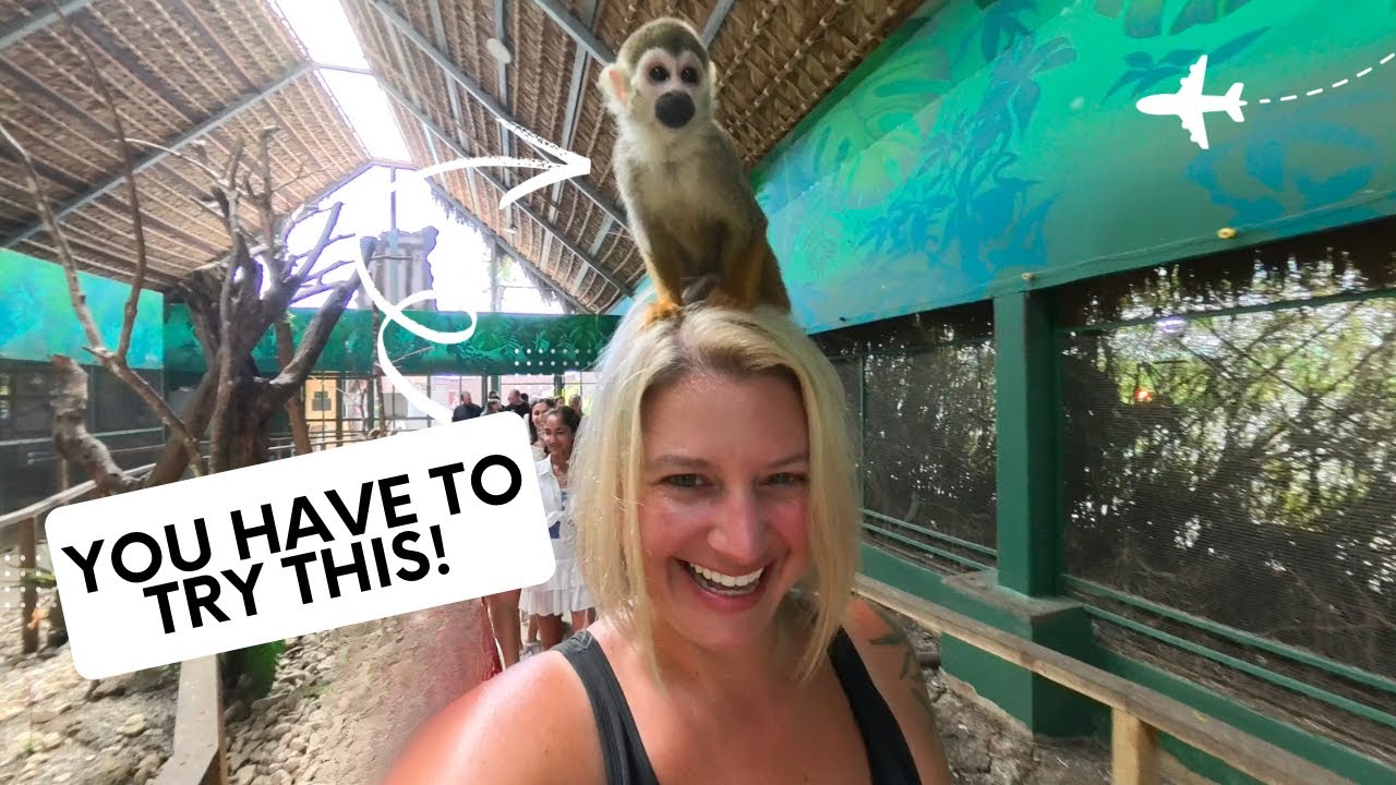Dominican Republic | Puerto Plata & Taino Bay Cruise Port | Monkey Island Experience
