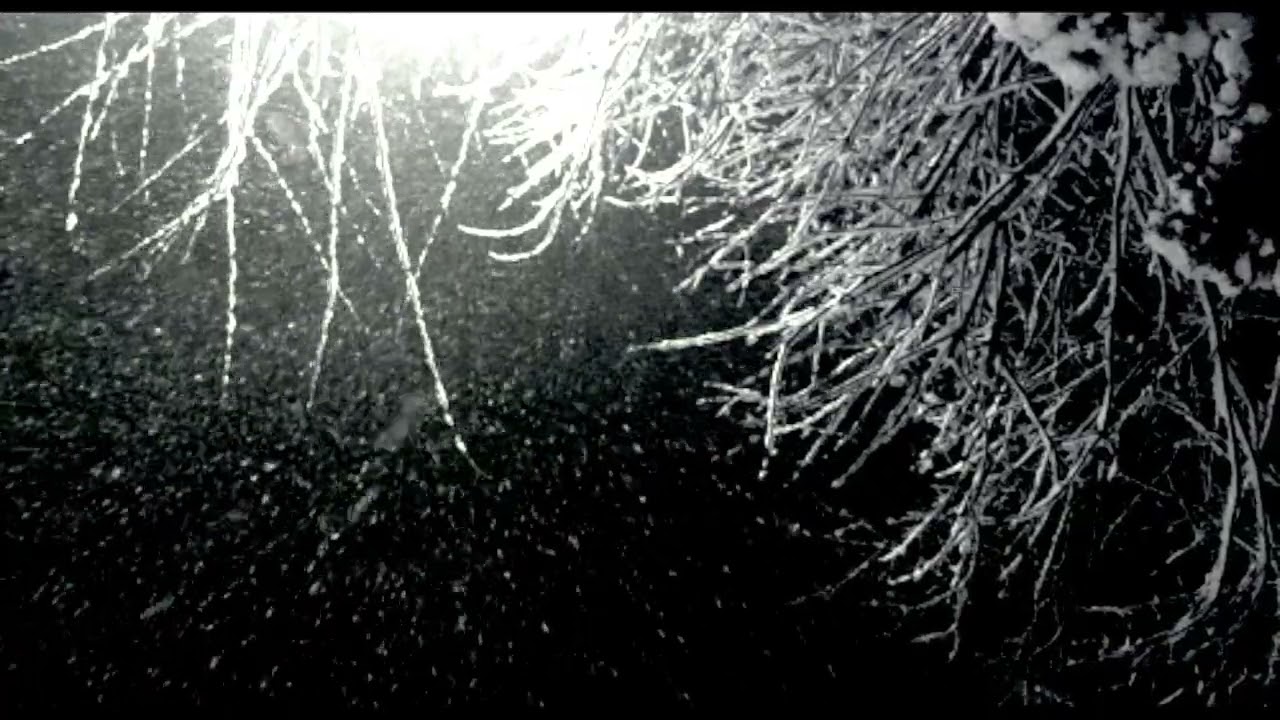 Red Hot Chili Peppers - Snow (Slowed&Reverb)