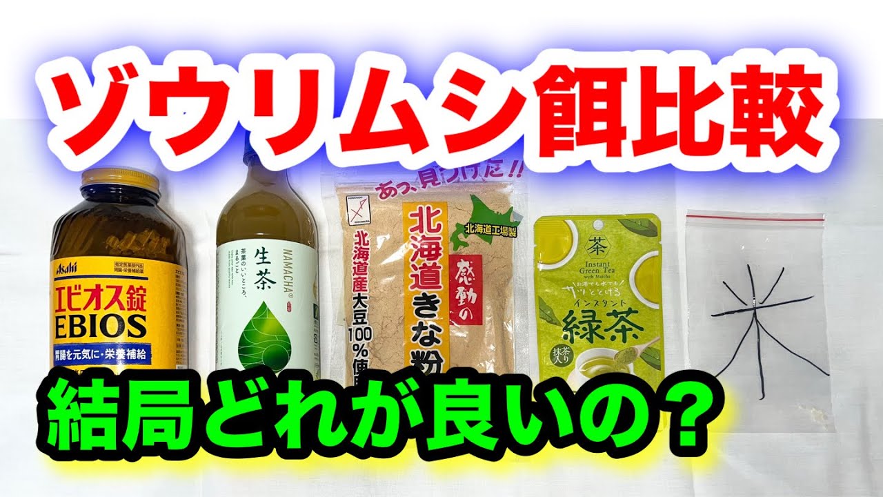 【メダカ】ゾウリムシの培養にはどの餌が良いのか調査してみました　ゾウリムシの増やし方　メダカ飼育　メダカ稚魚の餌　ゾウリムシの餌