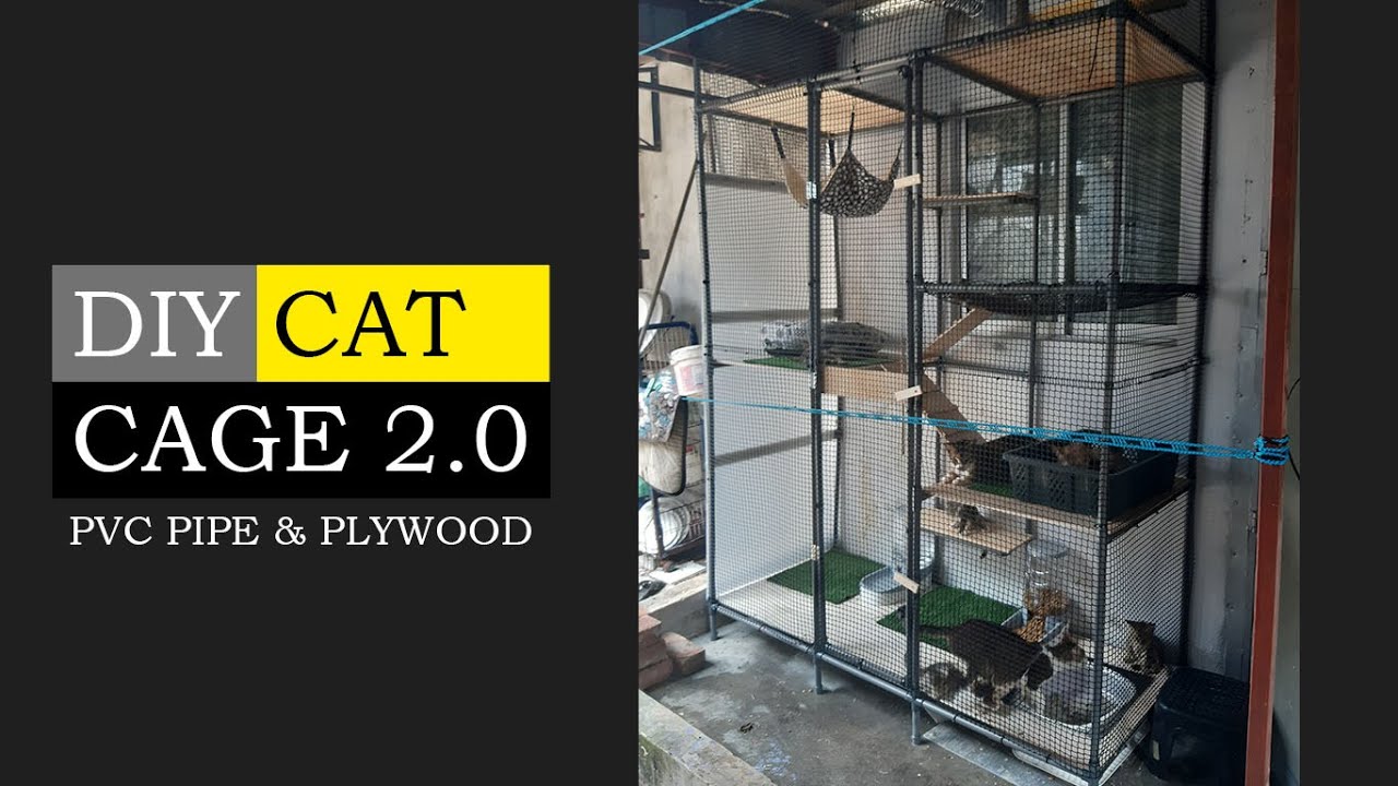 DIY Cat Cage 2.0 PVC Pipe and Plywood Timber