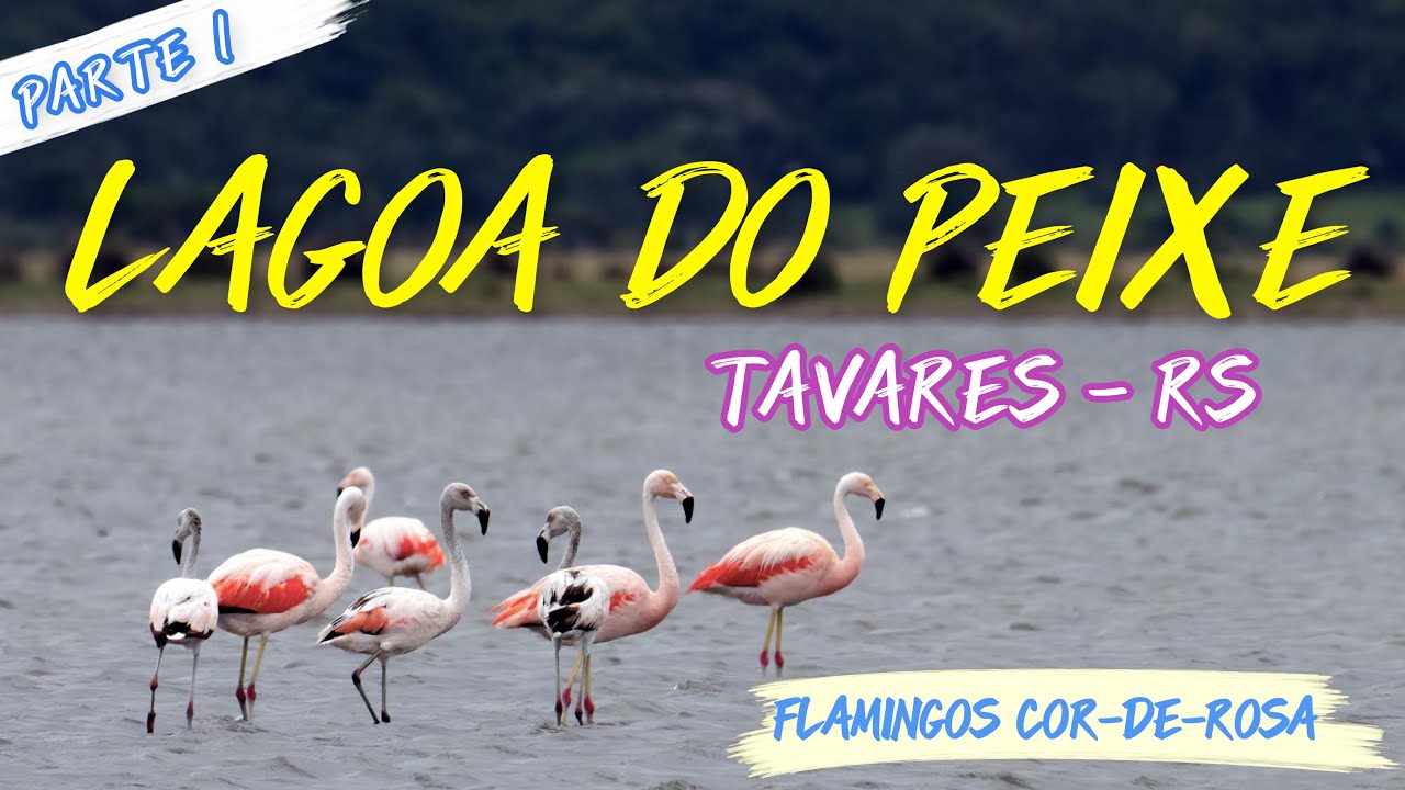 LAGOA DO PEIXE E  SUA BELEZA
