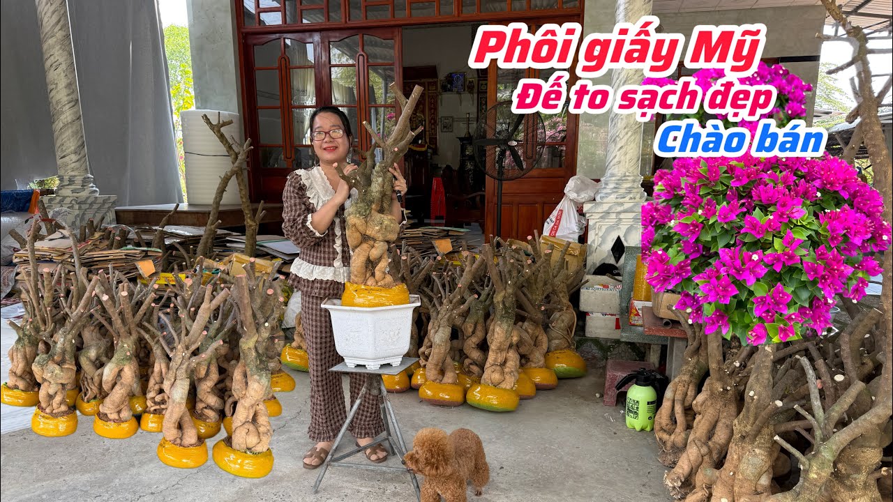 Phôi giấy Mỹ đế to sạch đẹp chào bán bao phí ship..28/01😘📲 0772.119.600.Quỳnh-Như 