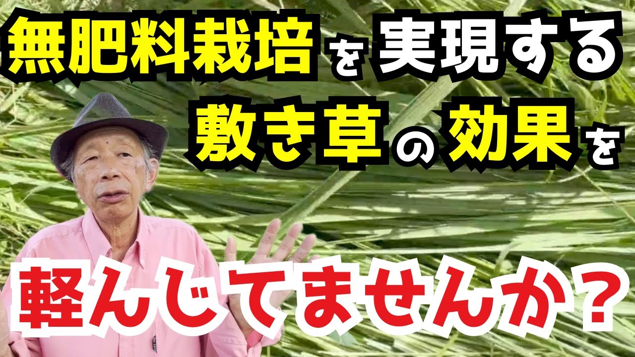 【無肥料栽培】土が年々良くなる敷き草堆肥の作り方